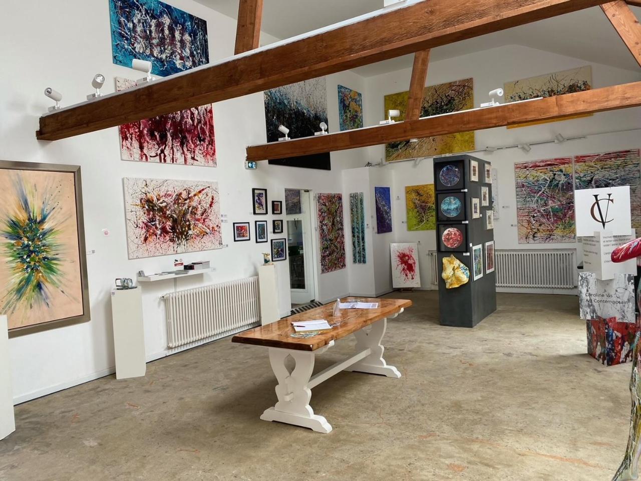 Bnb Maison D'Art Breakfast In The Art Gallery ปลูบาซลาเนค ภายนอก รูปภาพ